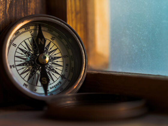 Autoridade no Desenho Humano